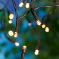 Mainstays 50 Count Solar Powered LED Warm White Mini Lights, Brown Wire