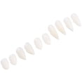 thumbnail image 3 of Dentaduras postizas, 5 pares de dientes postizos de Halloween, accesorios para cosplay, dientes de Halloween, los mejores de su clase, 3 of 8