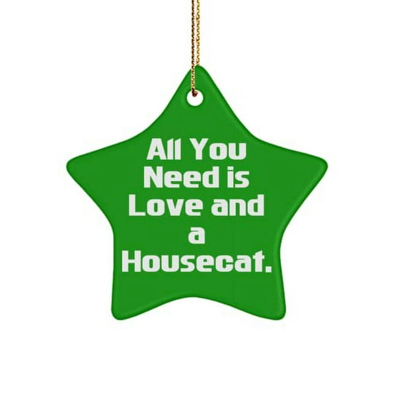 All You Need is Love and a Housecat. Star Ornament, House Cat Present from Friends, Brilliant for Cat Lovers