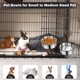 thumbnail image 5 of Paquete de 2 cuencos para perros SSAWCasa de acero inoxidable que no se derrama, 5 of 8