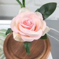 thumbnail image 3 of POINTERTECK Romantique Immortel Fleur Micro Paysage Rose Simulation Verre Ombre Led Llight, 3 of 3