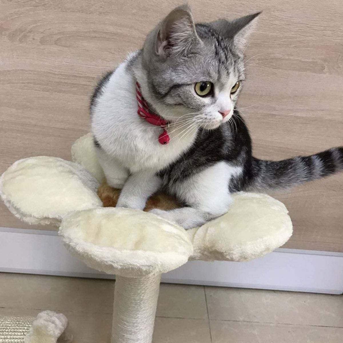 flower shaped cat tree