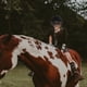 thumbnail image 3 of Casco protector infantil de equitación, gorro deportivo infantil, casco para montar a caballo, 3 of 7