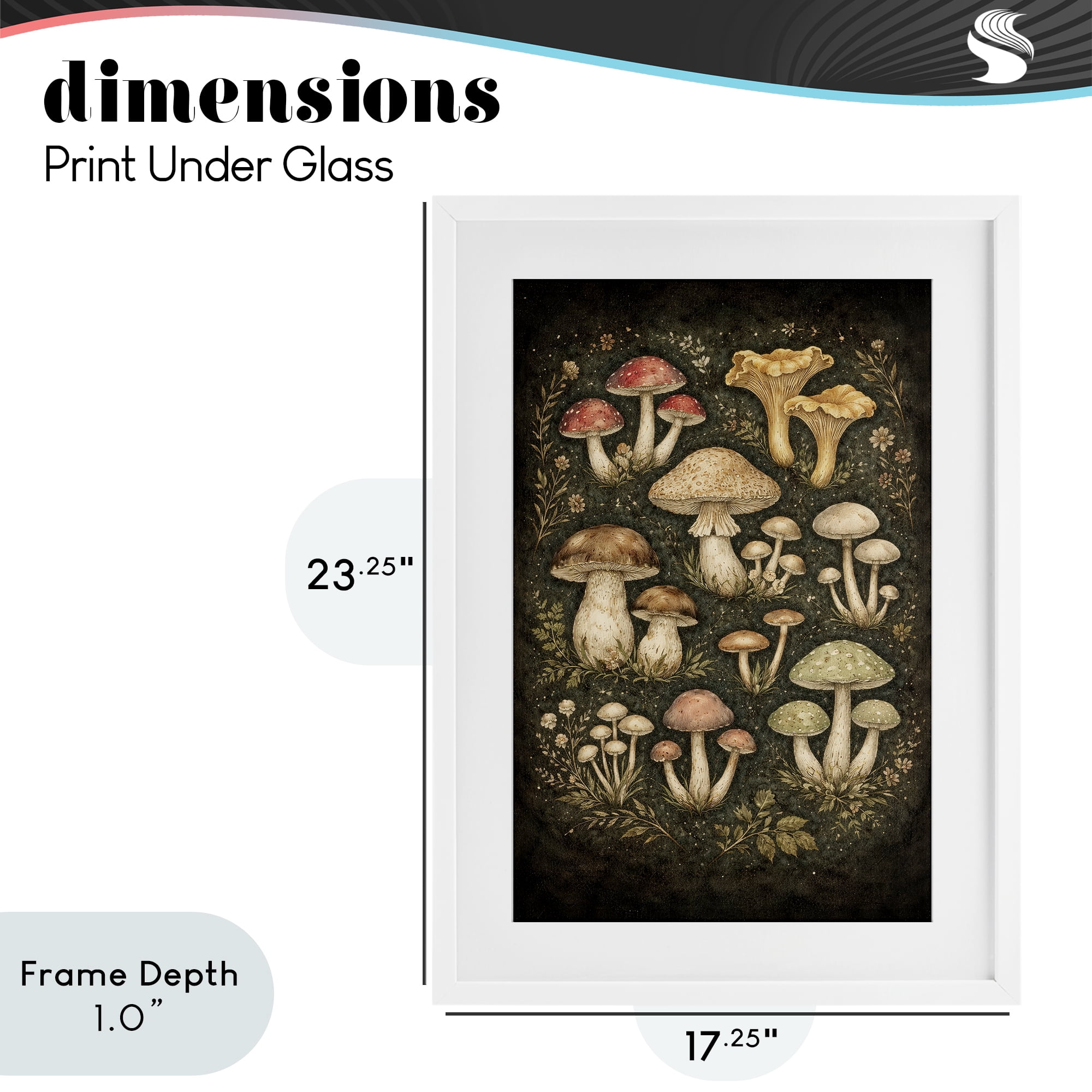 Stupell Industries Organic Sprouting Mushrooms White Framed Print Under Glass, design by Tom Crehan