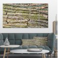 thumbnail image 1 of Thick Tree Skin Close Up - Floral Canvas Art Print, 1 of 3