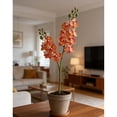 thumbnail image 5 of Tallos de mini orquídeas artificiales | Ramas de Phalaenopsis artificiales | Flores artificiales táctiles para ramos de flores, decoración del hogar, centros de mesa para bodas y fiestas., 5 of 5