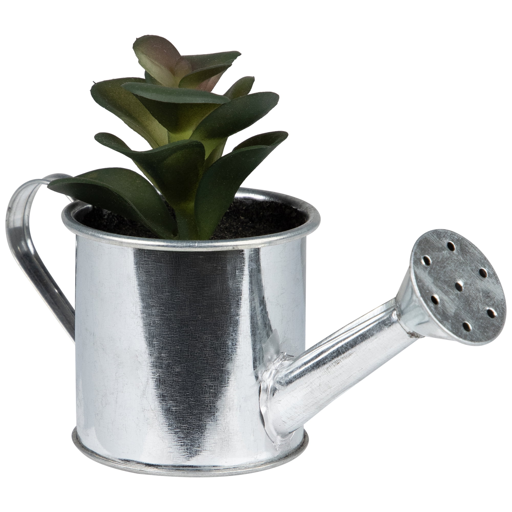 4" Adorable Tropical Green Mini Artificial Succulent in Tin Water Can