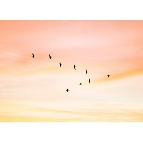 Sunset Birds Print Wall Art, Modern Wall Decor For Living Room Bedroom, 8x12 UNFRAMED