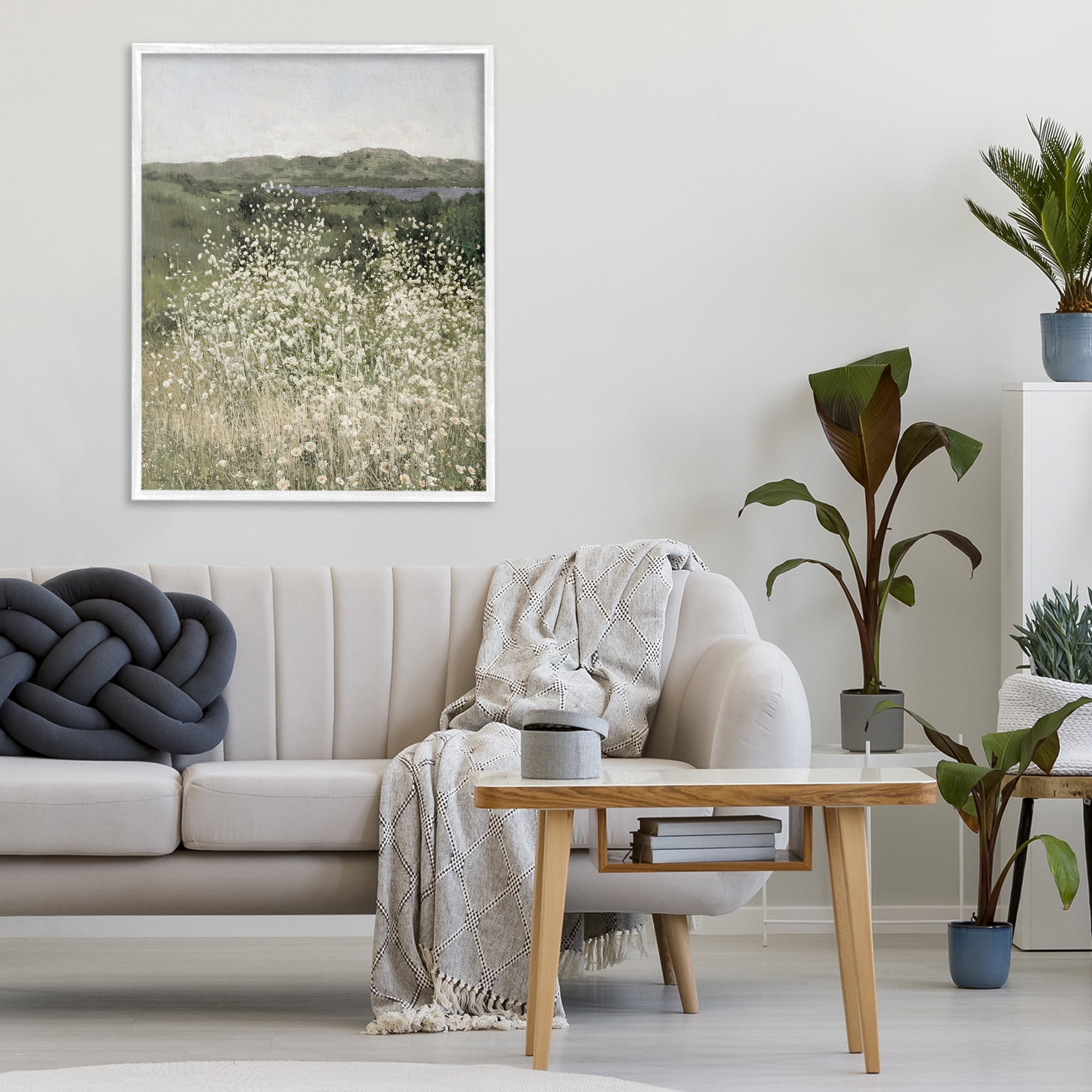 Stupell Industries Sunlit Meadow of White Daisies White Framed Giclee Art, design by Amber Sterling