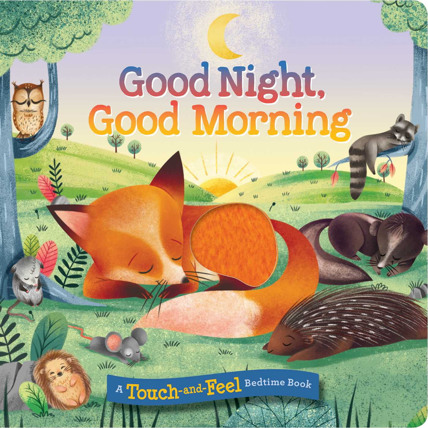 Good Night Good Morning Board Book Walmart Com