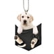 thumbnail image 1 of DQrwqpou Para Cachorro Coche Tamaño Compacto Mini para Cachorros Regalos (estilo B), 1 of 9