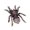 Purple, variant on Unique Spiders Brooch Accessory Fashionable Spiders Brooch with Sparkling Stone Versatile Lapel Pin Jewelry Charm