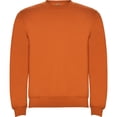 thumbnail image 1 of Roly  Adult Clasica Crew Neck Sweatshirt, 1 of 4