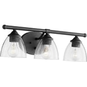 Quorum Lighting Brooks Glass Noir 3-Light Wall Sconce