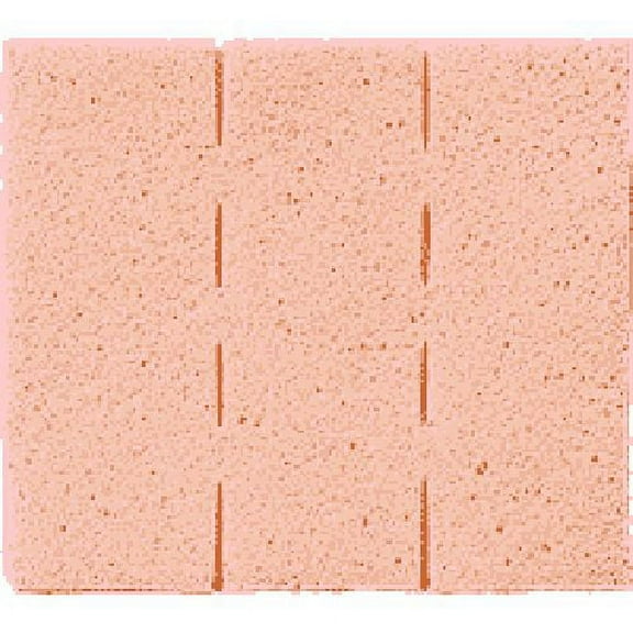 Ferris PolyMem Silver WIC Silver Cavity Wound Filler ''3 x 3 , 10 Count''