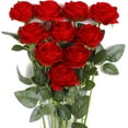thumbnail image 1 of 10 PCS Artificial Red Roses Flowers for Valentine's Day, Realistic Blossom Roses, Real Touch Silk Rose, Single Fake Flower Long Stem Bouquets for Home Wedding Party Decoration (10Pcs, Red), 1 of 6