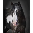 thumbnail image 3 of Drost, David 12x14 Black Modern Framed Museum Art Print Titled - Horse Portrait II, 3 of 5