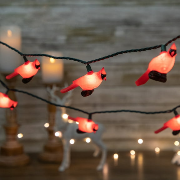 Northlight Cardinal Indoor Outdoor Patio Light Set - 6' Green Wire - 10ct