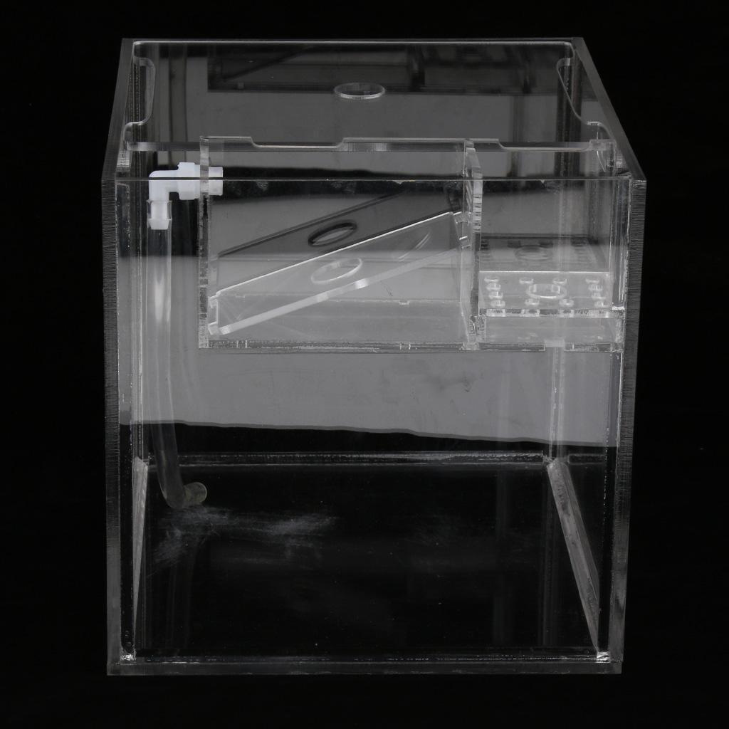 Acrylic Fish Breeding Isolation Tank Aquarium Breeder Box Double