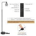 thumbnail image 6 of Floor Lamp for Living Room, Industrial Floor Lamp with 1H Timer, Stepless Adjustable 3000K-6000K Colors & Brightness Standing Lamp with Foot Pedal Switch & Remote Control, 6 of 7