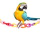 thumbnail image 3 of Eslabones De Cadena De Loro Juguetes De Eslabones De Cadena De Ganchos C-Clips Para Mascota Pequeña De Rata ANGGREK Mascotas, 3 of 8