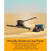 Certified Glyphosate Residue Free Hard White Wheat Berries | 25 LBS | Emergency Food Storage Bucket | Non-GMO | Grown on Our Family Farm | Bulk