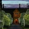 thumbnail image 7 of Rosnek Christams Net Mesh String Lights, 9.8ft x 6.6ft Mesh Christmas Decorative Lights for for Xmas Trees, Bushes, Wedding, Garden, Outdoor Decorations, 7 of 7