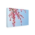 thumbnail image 2 of Trademark Fine Art 'BC Time for Spring' Canvas Art by Beata Czyzowska Young, 2 of 3