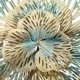 thumbnail image 4 of GAXIRE De Pared De Metal Con Flores Y Hojas 3D Para Ambiente, 4 of 6