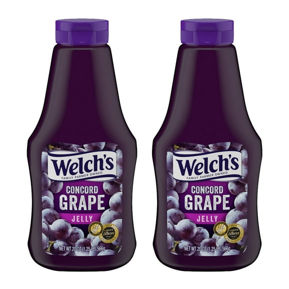 Welch's Concord Grape Jelly, 20 oz Squeeze Bottle (Pack of 2)
