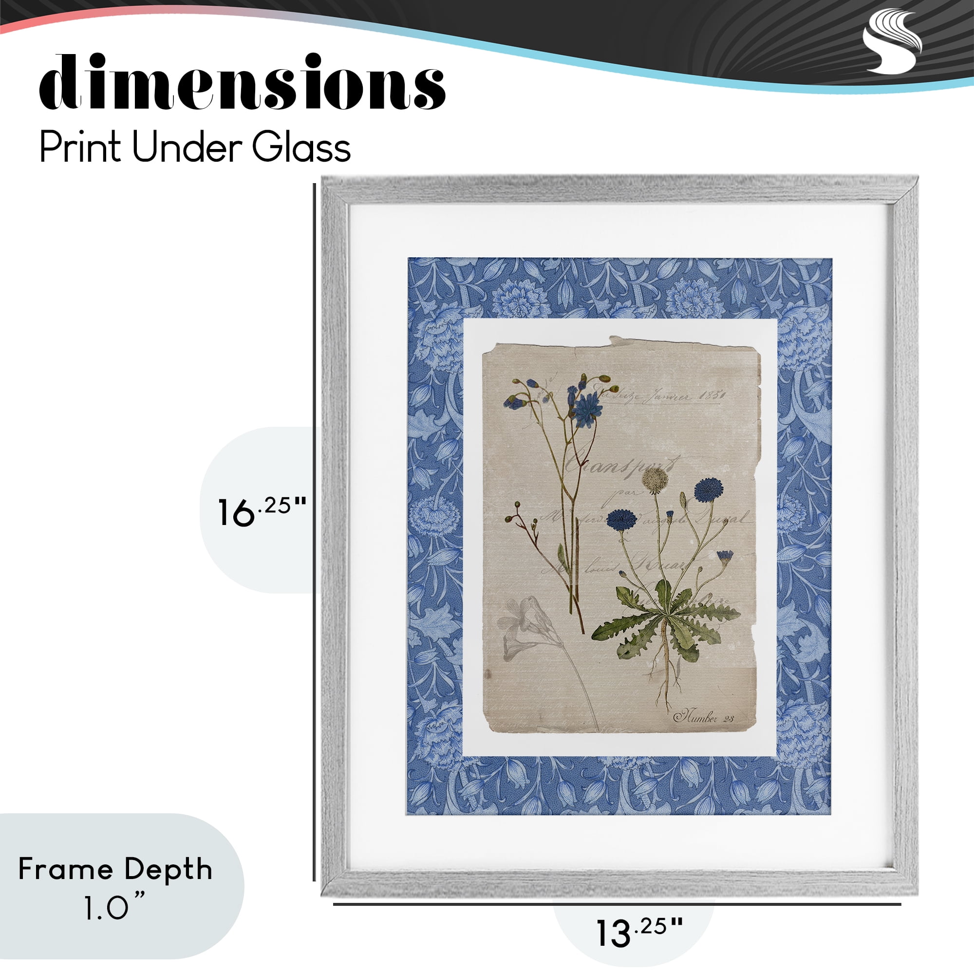Stupell Industries Blue Antique Herbs Gray Framed Print Under Glass, design by Livi Finn