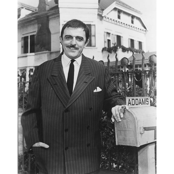 The Addams Family John Astin 24x36 Classic Hollywood Poster