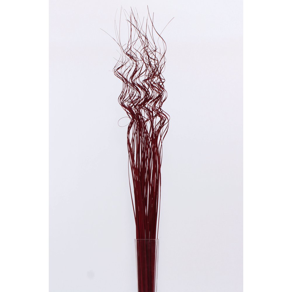 GreenFloralCrafts Dried Floral Filler Extra Tall Curly TingTing 3.5 ft