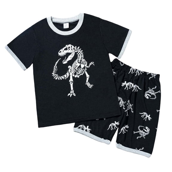 Shadoumai Boys Clothes Size 5 Dinosaur Print Round Neck Shorts Sleeve Tracksuit Casual Two Piece Set for Children Summer Boys Sets 2 Piece Outfits