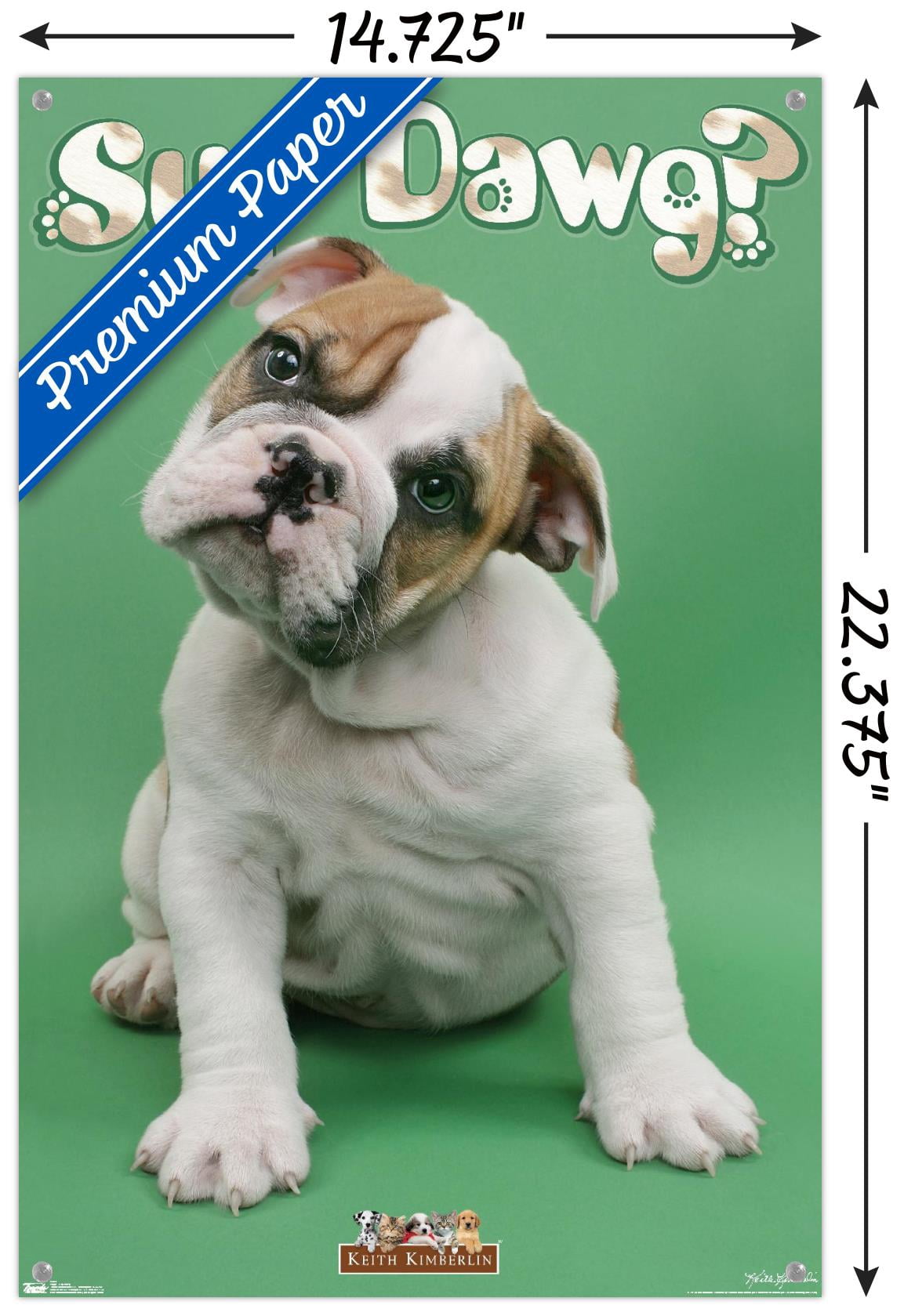 Keith Kimberlin - Sup Dawg Wall Poster with Push Pins, 14.725" x 22.375"