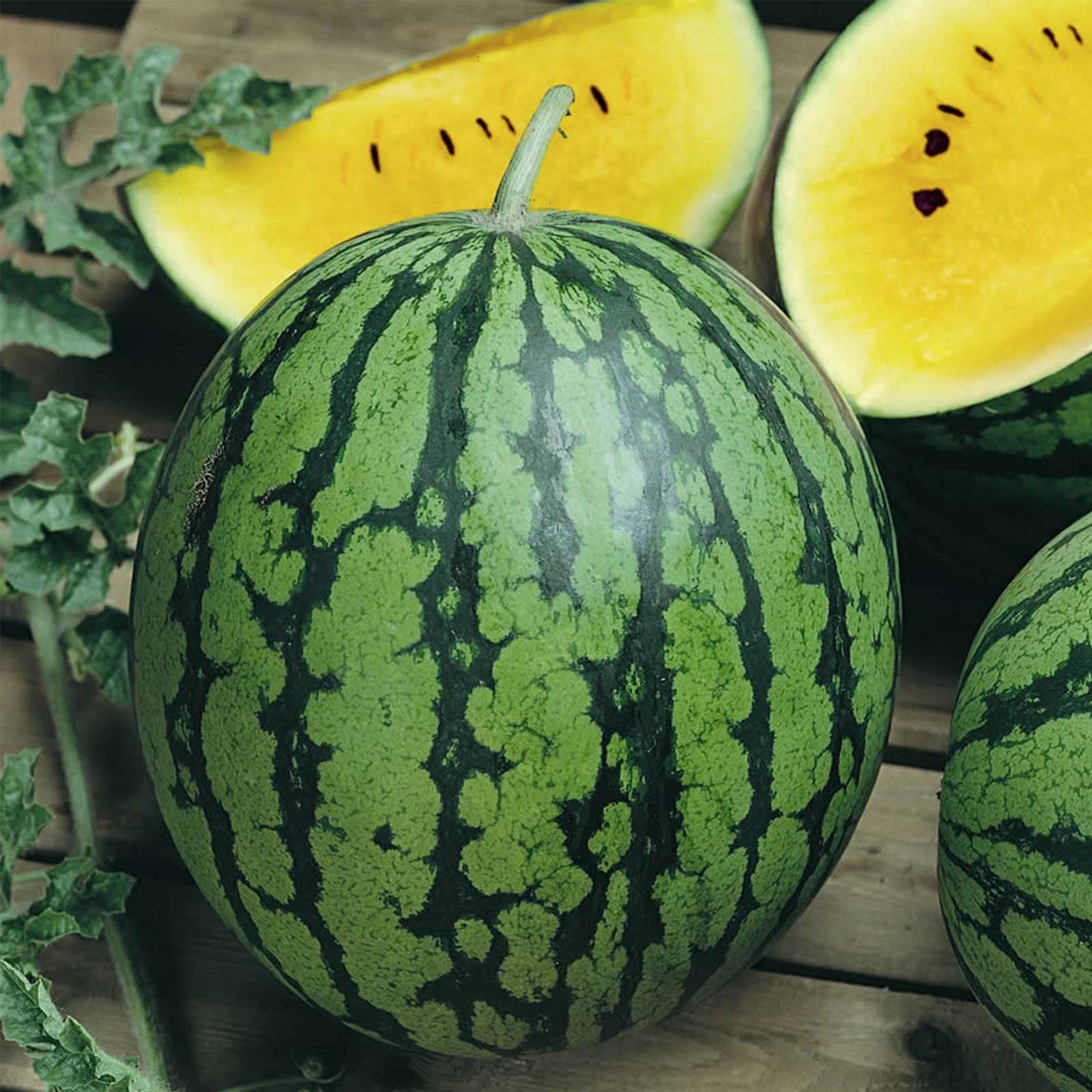 Watermelon Garden Seeds Baby Doll Yellow Hybrid 100 Seeds NonGMO