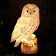 thumbnail image 2 of Lámpara con Estatuilla de Pájaro de Resina, Luces Nocturnas LED con Energía Solar para Jardín Al Aire Libre, Lámparas Decorativas Impermeables con Estaca A, 2 of 5