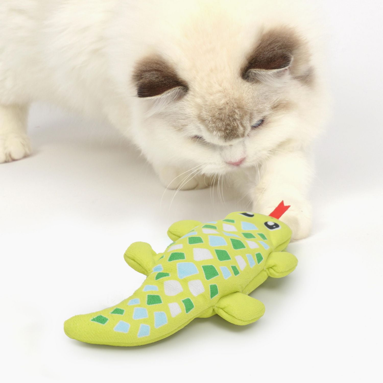 Jouet Catit Groovy, gecko