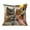 B, variant on Rirozkan Animal Pillow Cover, Cute Embroidered Style Cushion Case, Soft Decorative Throw Pillow Sham 18x18 Inches, for Bedroom Living Room Sofa Chair Decor, C