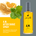 thumbnail image 3 of Johnny B Authentic Hair A.M After Shave Spray (3.3 oz), 3 of 6