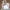 C, variant on 2024 Women's Soccer Canvas Tote Bag,Sports Beach Bag Casual Oversized Practical Bag For Shopping And Work