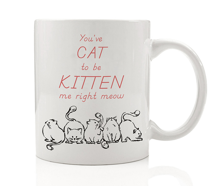 Crazy Animal Lover Mug 11oz Gift Mug Tea Mug Coffee Cat Mug Personalised Dog Mug