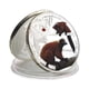 thumbnail image 2 of Moneda 11 unidades/lote: animales raros del mundo, en peligro de extinción y protegidos, 2 of 3