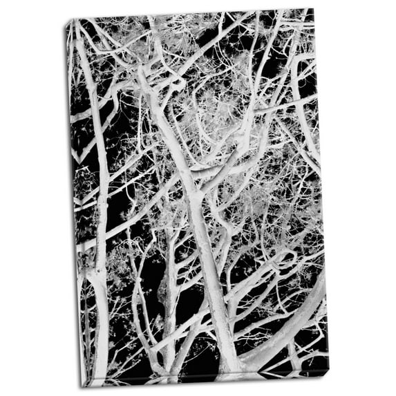 Gango Home Decor Tree Scatter by Karyn Millet (Ready to Hang); One 24x36in Hand-Stretched Canvas