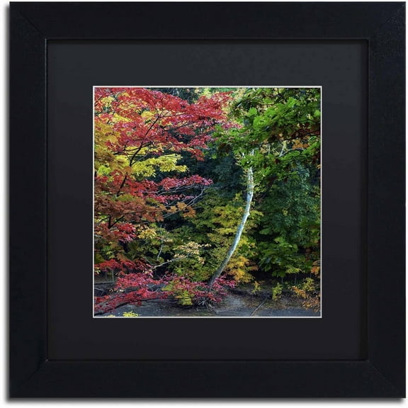 Trademark Fine Art "All the Colors of October in Ohio" Canvas Art by Kurt Shaffer, Black Matte, Black Frame