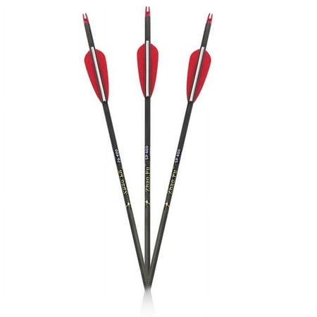Carbon Arrow 29 L with 3 Profile Vanes Spine 400 Hunting Arrows 12 Pcs Red