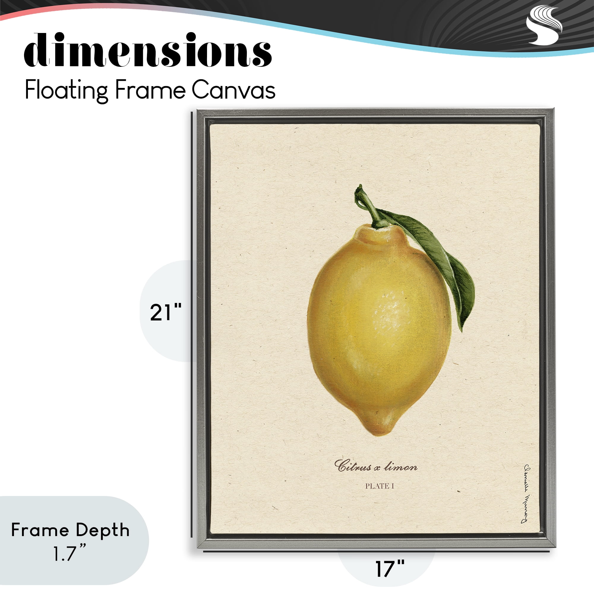Stupell Industries Lemon Fruit Portrait Gray Framed Floater Canvas Wall Art, design by Danielle Murray