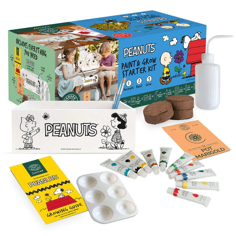 Peanuts Snoopy Paint & Grow Starter Kit Snoopy Decorate Planter Art and Craft Kit