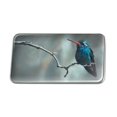 thumbnail image 1 of Broad-Billed Hummingbird Resting on Branch Metal Rectangle Lapel Hat Pin Tie Tack Pinback, 1 of 4