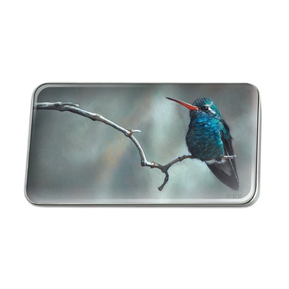 Broad-Billed Hummingbird Resting on Branch Metal Rectangle Lapel Hat Pin Tie Tack Pinback